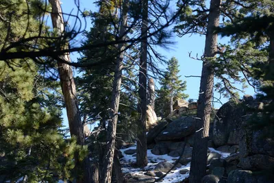 DSC_5084 (Large).JPG